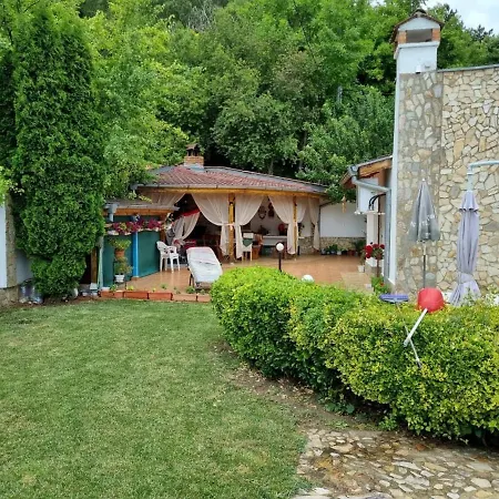 Villa Vladi *
